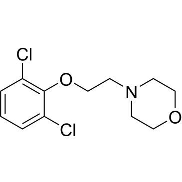 CS-0213266