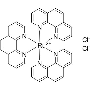 CS-0213826