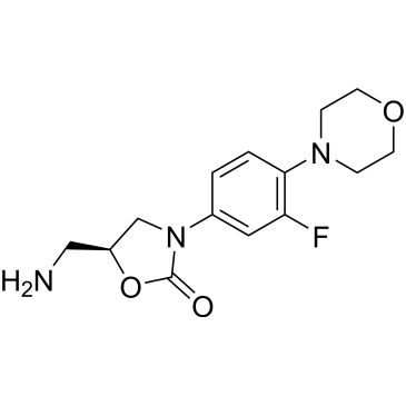 CS-0213941