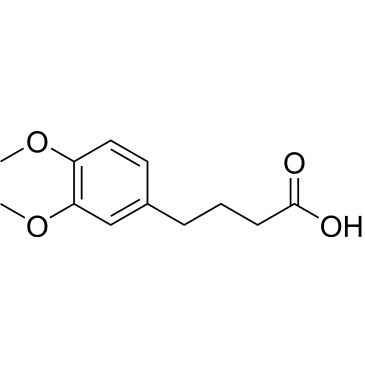 CS-0216288