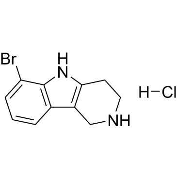 CS-0216621