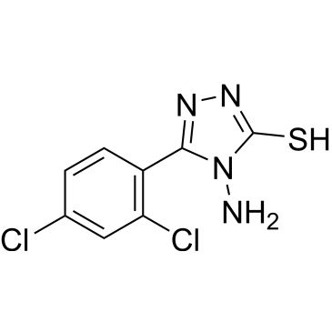 CS-0219246