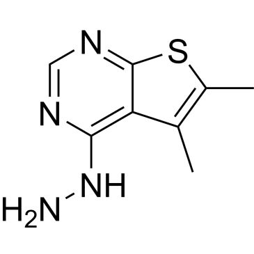 CS-0219293