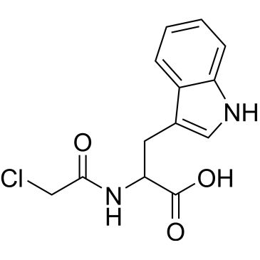 CS-0219798