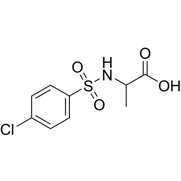 CS-0220224