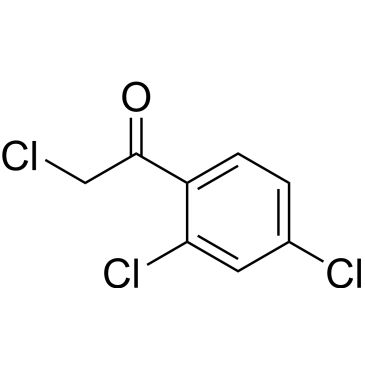 CS-0229455
