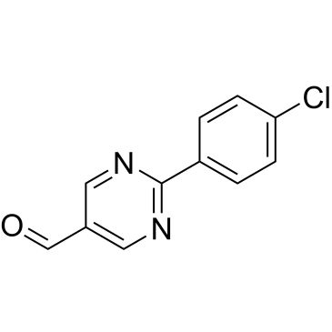 CS-0231362