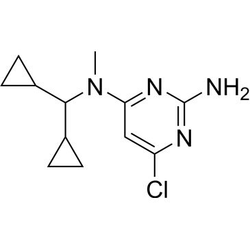CS-0233169