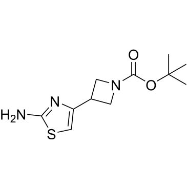 CS-0238056
