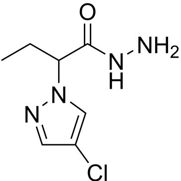 Img