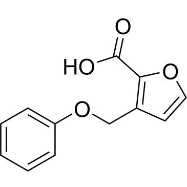 CS-0243173