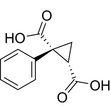 CS-0247523