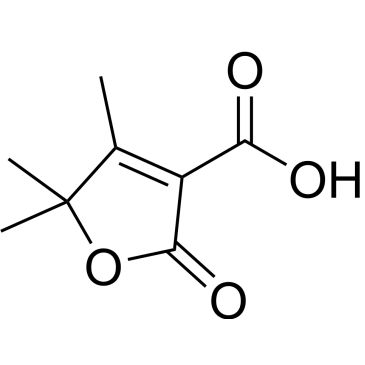 CS-0252236