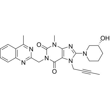 CS-0255311