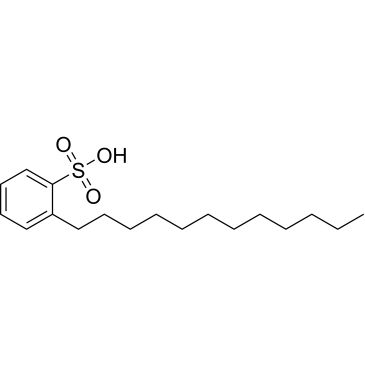 CS-0256295