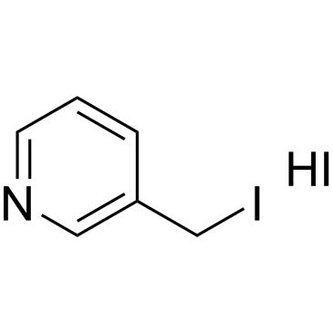 CS-0256568