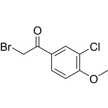 CS-0257035