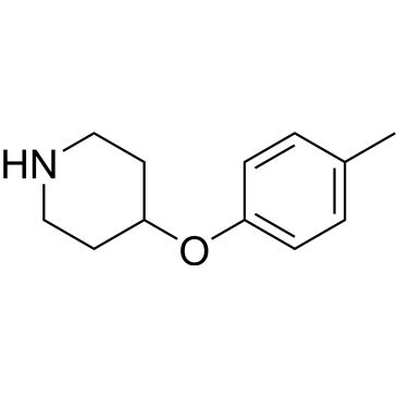 CS-0261656
