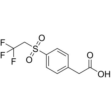 CS-0262205
