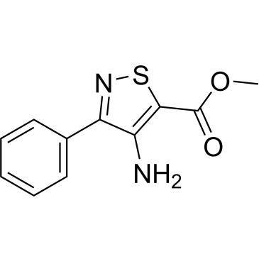 CS-0263079