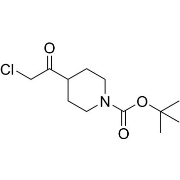 CS-0293370