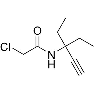 CS-0293824