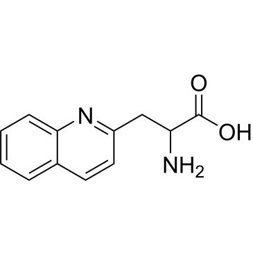 CS-0306595