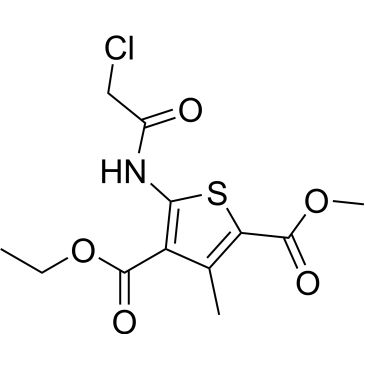 CS-0307507