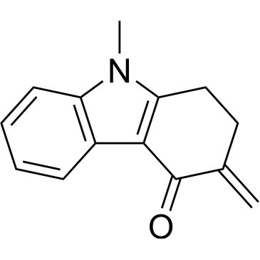 CS-0312068