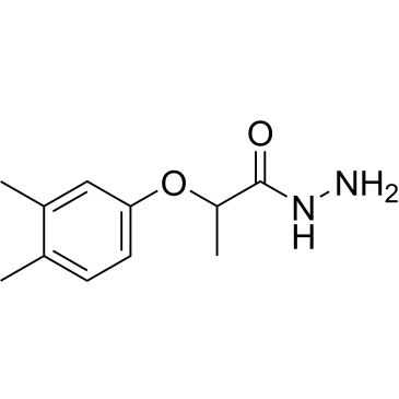 CS-0314035