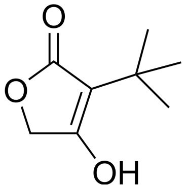 CS-0314324