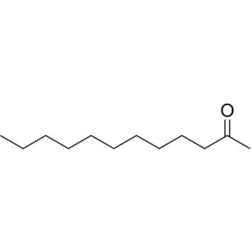 CS-0314654