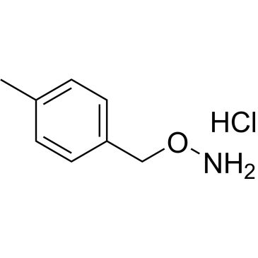 CS-0317904
