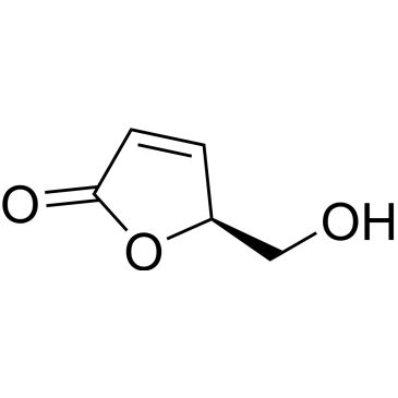 CS-0319426