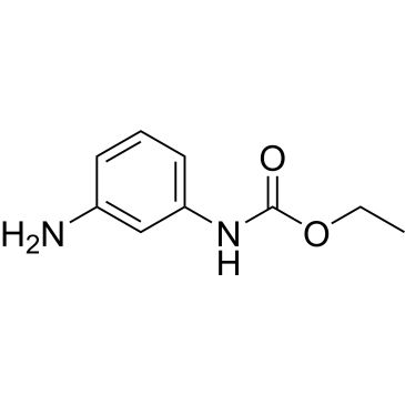 CS-0319572