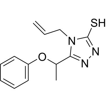 CS-0319604