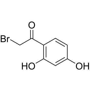 CS-0320604