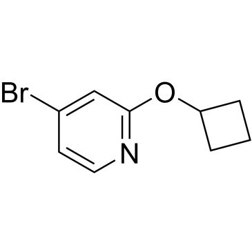 CS-0321300
