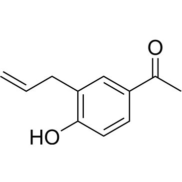 CS-0321312