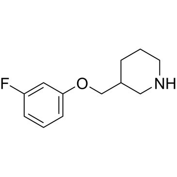 CS-0323253