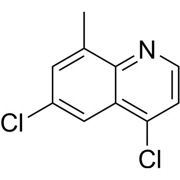 CS-0325656