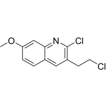 CS-0326489