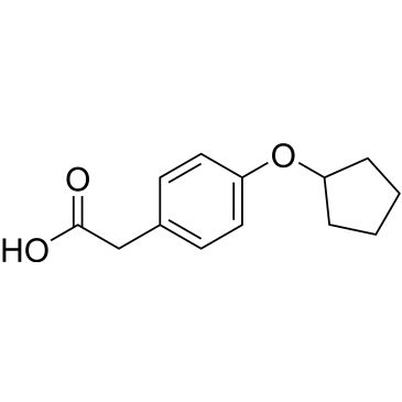 CS-0327569