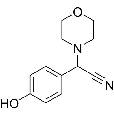 CS-0328237