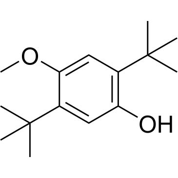 CS-0328386