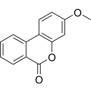 CS-0329554