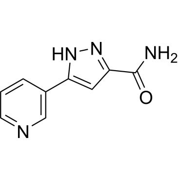 CS-0333354