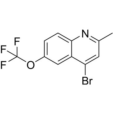 CS-0335070