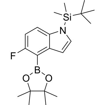 CS-0335248