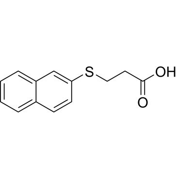 CS-0335294